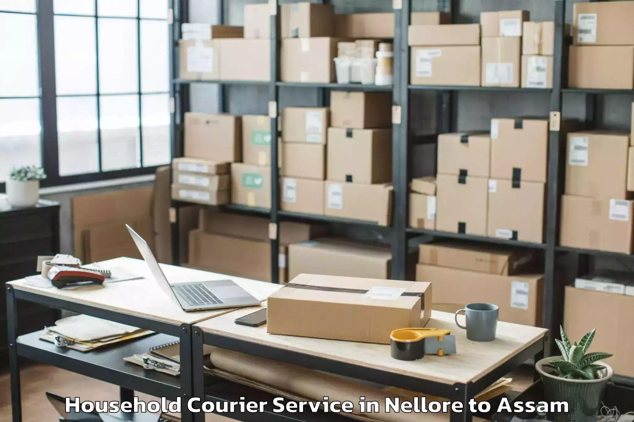 Quality Nellore to Golokganj Pt Household Courier